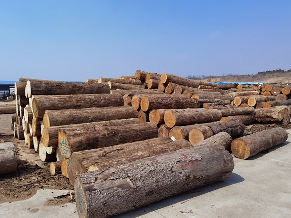 体育运动木地板原材料价格不断上涨