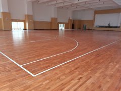 广东省佛山市禅城区环湖小学篮球馆运动木地板