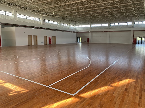 唐镇PDPO-0403单元W19-01地块配套初中项目