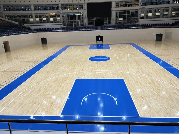 2025年中国体育运动木地板的发展