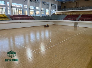 运动地板价格全解析：如何根据预算与需求精准